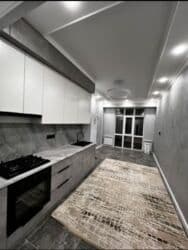 квартира ыссык ата: 1 бөлмө, Риелтор, Чогуу жашоосу жок, Толугу менен эмереги бар — 1