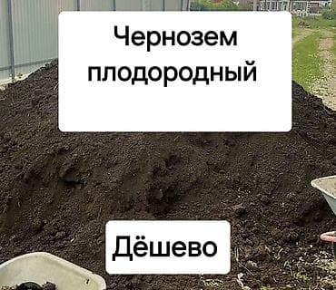 В тоннах, Зил