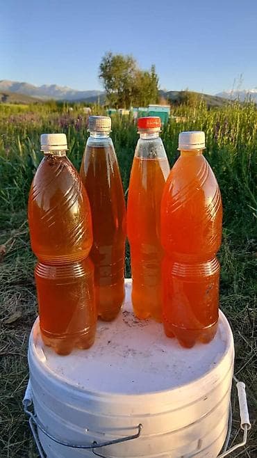 Продукты питания: Натуральный цветочный мёд (майский, первая выкачка). Чистый — 2