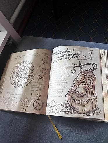 кызым 62 серия: Книга «Гравити Фолз. Дневник 3» (русское издание Disney) Покупал за — 4
