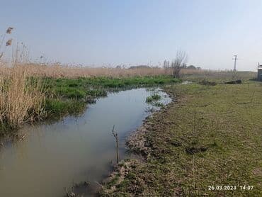 продаю дом участок село достук конечная 7 автобус: Продаю Птицеферма, 10000 соток, Электричество — 4