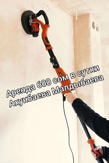 аренда жираф: Сдам в аренду — 1