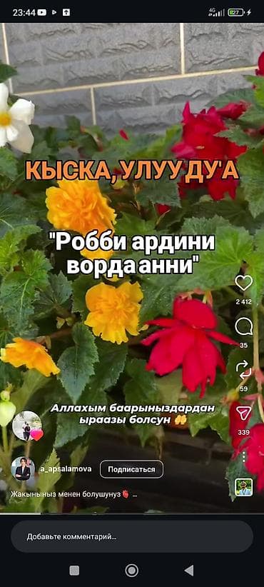 маркер для авто: Комплект поворотников Kia Новый — 2