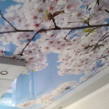 бетон м200 цена с доставкой бишкек: Натяжной жазайбыз 
3d натяжные потолки 
от 1000 сомов 
Бишкек чуй — 2