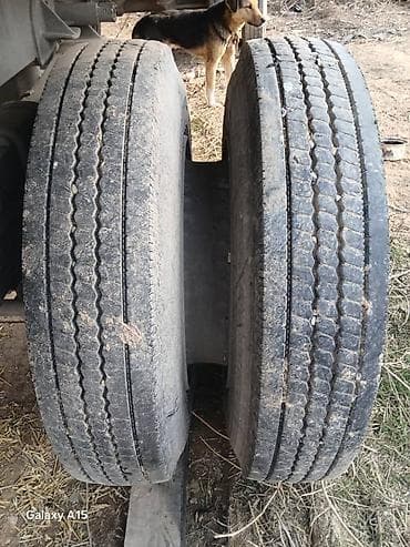 Прицеп самосвальный сельскохозяйственный (одноосный тележка-тандем