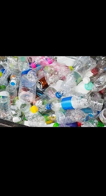 стар: Куплю бакалажки — 1