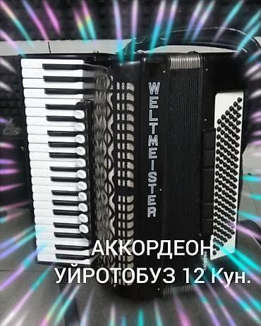 кудер: АККОРДЕОН ОБУЧЕНИЯ 12 День КУРС — 1