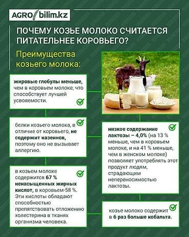 Козье молоко продаётся. Цена литр сто двадцать сомов. Мы живем жил