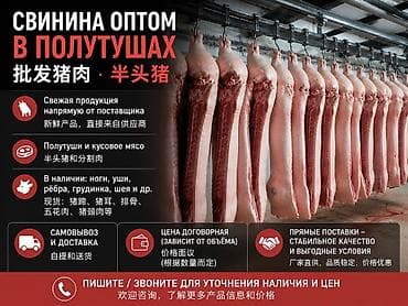 Другие животные: Продажа мясо свинина полутуши оптом — 1