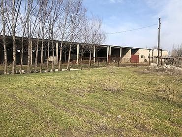 Ижарага Сарай берилет. Сокулук 50 соток Навес, Караңгы сарай
