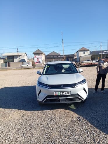 тормозные колодки цена: BYD : 2025 г., Автомат, Электромобиль, Хэтчбэк — 1