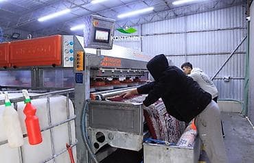 Килемдерди жуу: Килемдерди жуу, | Килем — 9