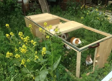 зоотовары оптом дордой: Клетка для цыплят, курей, индюшат. Зоотовары. сетки для кур с — 2