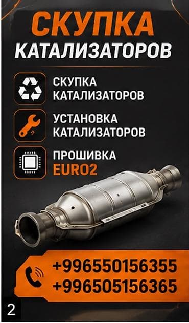 mini vci: Услуги по работе с автомобильными катализаторами: - Скупка — 1