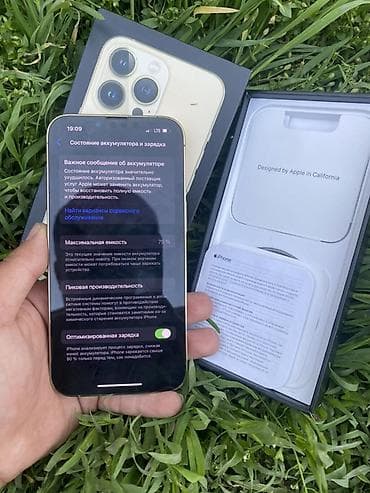 macbook ibook g4: IPhone 13 Pro, Золотой, Коробка — 7