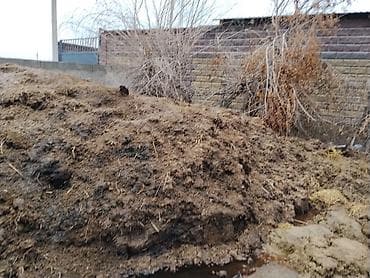Перепревший навоз для удобрения почвы ОТДАМ Бесплатно! Само вывоз -