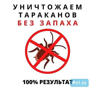 Клининговые услуги: Дезинфекция, дезинсекция, | Клопы, Блохи, Тараканы, | Транспорт, Офисы, Квартиры — 1