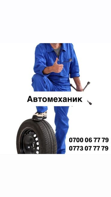 ремонт бытовой техники в г.бишкеке. ремонт микроволновок фото: Замена фильтров, Проверка степени износа деталей автомобиля, Услуги автоэлектрика, без выезда — 1