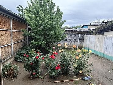 каретный двор: Дом с хозпостройками и большим двором - Отдельно стоящий одноэтажный — 6