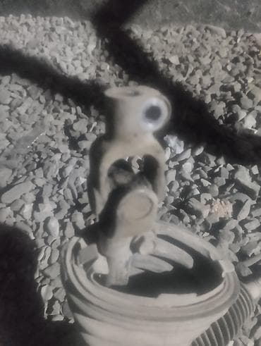 вал отбора мощности: Рулевая рейка Toyota — 3