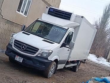 морозилник для мясо: Продаются продаются срочно спринтер рекс холодильник Изотермический — 9