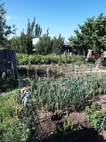 дом в кызыл туу: Дом, 78 м², 3 комнаты, Собственник, Старый ремонт — 7