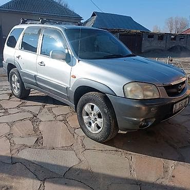 боковой тырмо: Mazda Tribute: 2002 г., 3 л, Автомат, Кроссовер — 3