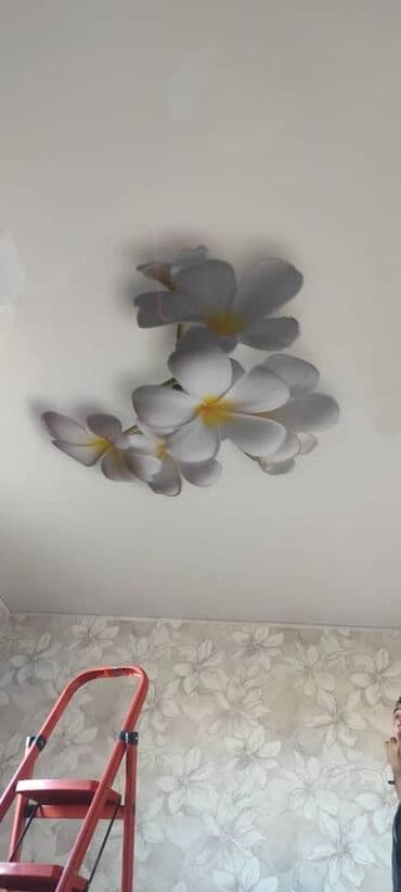 натожный потолок: Керме шыптар Жылтырак, Жылтырабаган, 3D потолоктор Кепилдиги, Акысыз консультация, Акысыз ченөө — 9