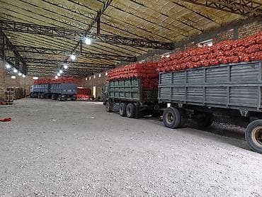 Декор жана интерьер: Пияз Дүңүнөн — 4