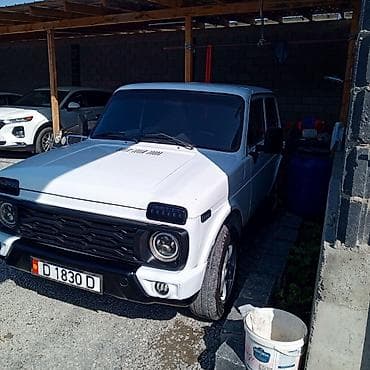 mini copper: ВАЗ (ЛАДА) 4x4 Нива: 2001 г., 1.7 л, Ручные, Бензин, Внедорожник — 6