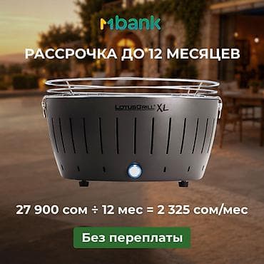 max safe: Гриль Угольный, Самовывоз, Платная доставка — 2