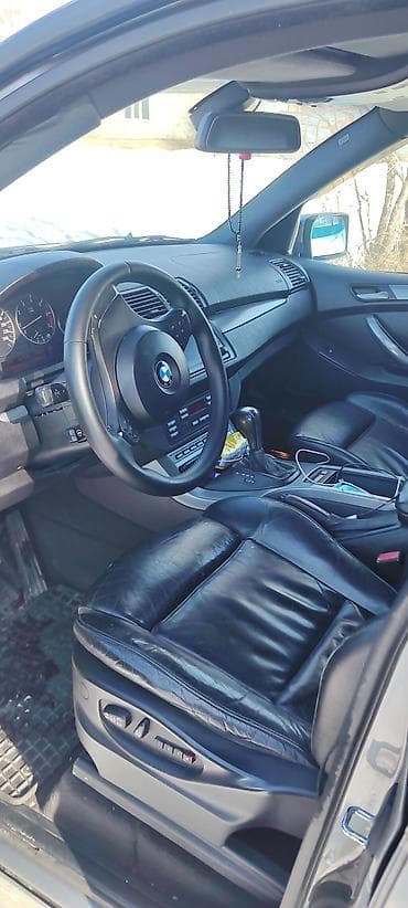 BMW X5: 2004 г., 4.4 л, Автомат, Бензин, Кроссовер