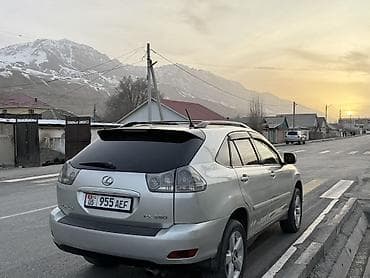 црв 3: Lexus RX: 2004 г., 3.3 л, Автомат, Бензин, Кроссовер — 6
