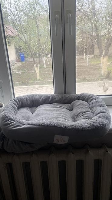 товары для крупных собак: Подгузники для домашних животных + лежанка для кошек/мелких собак — 3