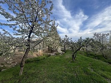 жаны уйлор: Продается Фазенда село Кара-Ой(Долинка) 52соток красная книга, ест — 9