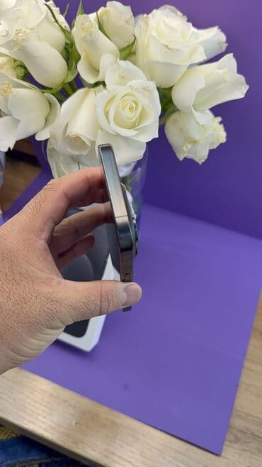ноутбук apple цена бишкек: IPhone 15 Pro, Колдонулган, 256 ГБ, 86 % — 5