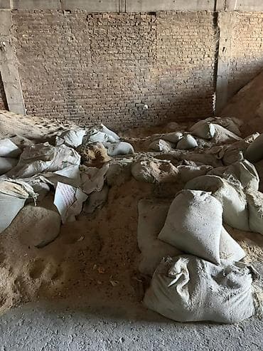 сладкий кукуруз: ОТРУБИ РИСОВЫЕ ‼️ Остатки то что на фото Цена 10 сом за КГ (Примерно — 5