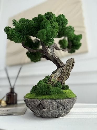 Деревья-бонсай из натурального стабилизированного мха🌳 -это