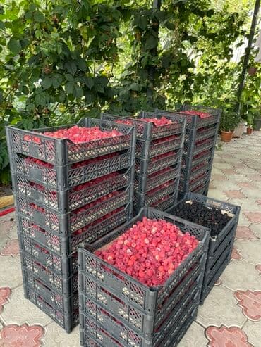 набор ключей купить: Малина Оптом, Платная доставка — 3