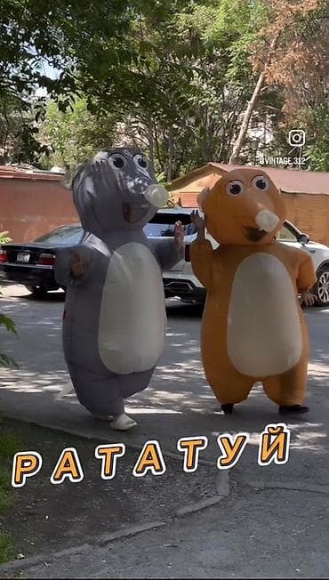 Ростовая кукла, Мультфильм, Рататуй