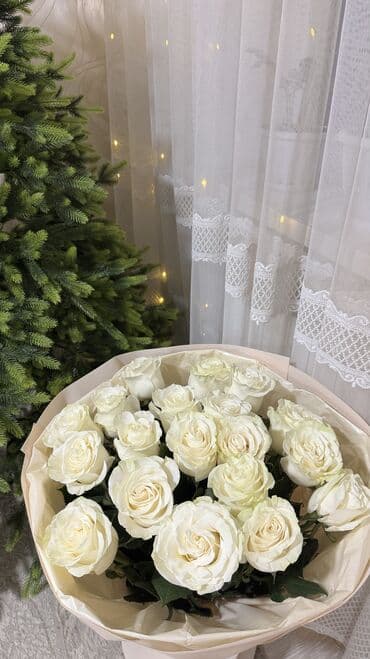 мойка высокого давления бишкек купить: Свежие цветы — 3