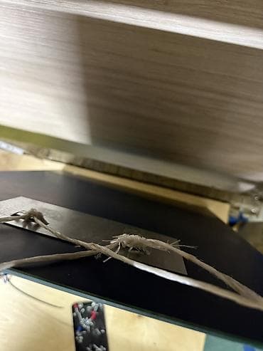 зеркало для ванны: Зеркало настенное с нижней стеклянной полкой. Подходит под любой — 3