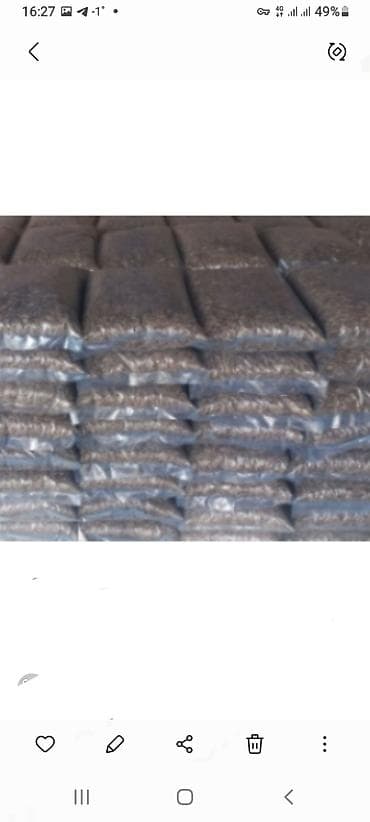 цена массажного кресла: Подсолнечное семачки оптом — 1