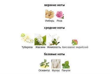 gucci flora: Gucci Bloom😍😍😍 Флакон: лаконичный прямоугольный дизайн в — 3