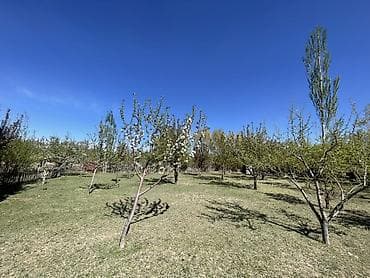 пакет одежды: Плодовый сад/участок с плодовыми деревьями. - Ухоженные ряды — 3