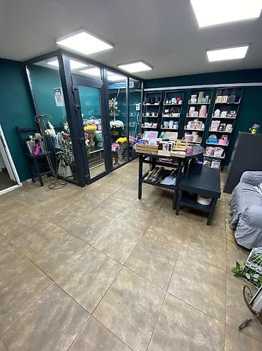 кызыл кыя кыз: Бизнес сатуу Дүкөн, Гүлдөр, Төмөнкүлөр менен бирге: Жабдуулар жана эмерек — 9