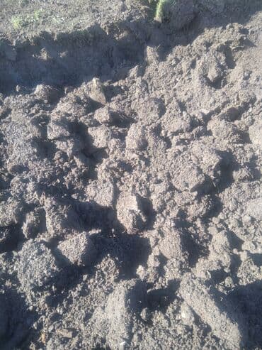 Уголь: Доставка зил Чорназём горный чистый перегной — 4