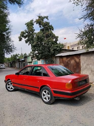 Audi 100: 1991 г., 2.3 л, Кол менен иштөөчү, Газ, Седан — 4