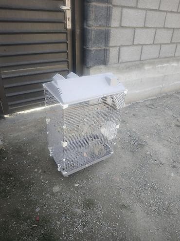 трафареты для рисования животных: Клетка для попугаев высота 60см длина 47см ширина 30см - Материал — 1