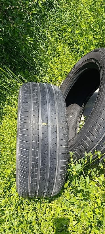 12 t: Шины 235 / 55 / R 18, Лето, Комплект, Внедорожные (АТ/МТ), Pirelli — 5